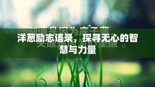 洋蔥勵志語錄，探尋無心的智慧與力量