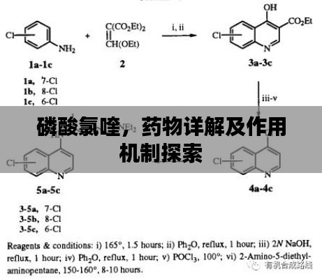 磷酸氯喹，藥物詳解及作用機制探索