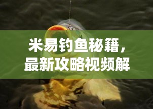 米易釣魚(yú)秘籍，最新攻略視頻解析，讓你輕松釣上大魚(yú)！
