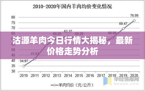 沽源羊肉今日行情大揭秘，最新價(jià)格走勢(shì)分析