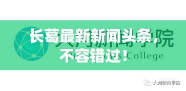 長葛最新新聞頭條，不容錯過！