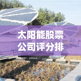 太陽(yáng)能股票公司評(píng)分排名揭秘，綠色能源領(lǐng)域的領(lǐng)頭羊