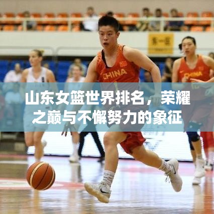 山東女籃世界排名，榮耀之巔與不懈努力的象征