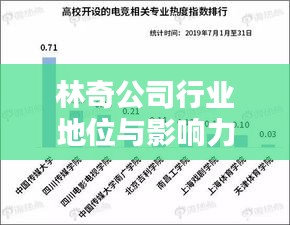 林奇公司行業(yè)地位與影響力解析，揭秘其在行業(yè)中的排名及深遠(yuǎn)影響