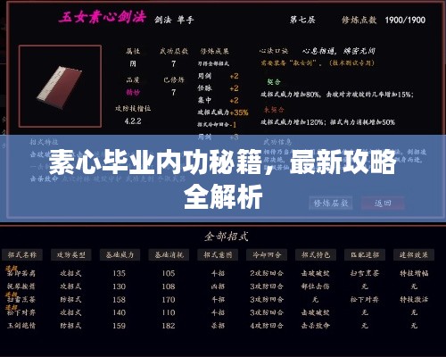 素心畢業(yè)內(nèi)功秘籍，最新攻略全解析