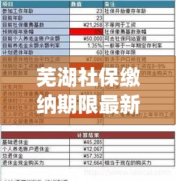 蕪湖社保繳納期限最新規(guī)定解讀，你需要知道的最新繳納期限！