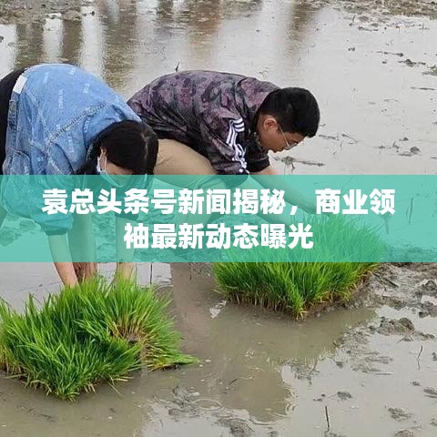 袁總頭條號(hào)新聞揭秘，商業(yè)領(lǐng)袖最新動(dòng)態(tài)曝光