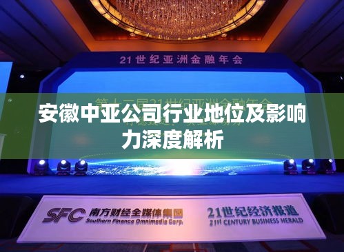 安徽中亞公司行業(yè)地位及影響力深度解析