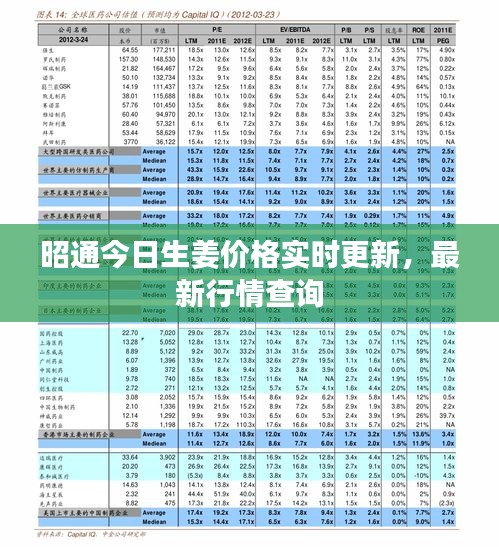 昭通今日生姜價(jià)格實(shí)時(shí)更新，最新行情查詢