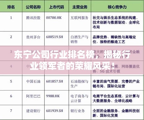 東寧公司行業(yè)排名榜，揭秘行業(yè)領(lǐng)軍者的榮耀風(fēng)采！