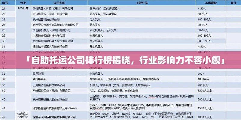 「自助托運(yùn)公司排行榜揭曉，行業(yè)影響力不容小覷」