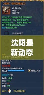 沈陽最新動態(tài)更新速遞