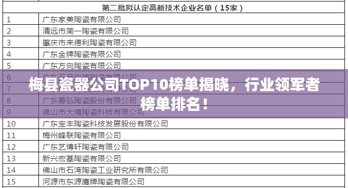 梅縣瓷器公司TOP10榜單揭曉，行業(yè)領軍者榜單排名！