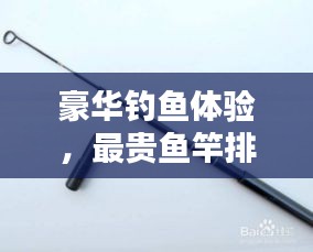 豪華釣魚體驗(yàn)，最貴魚竿排行榜前十名揭曉