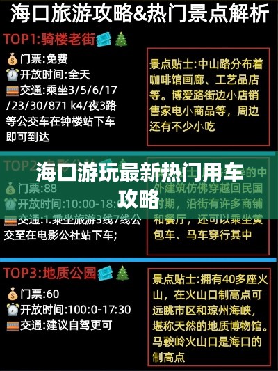 ?？谟瓮孀钚聼衢T(mén)用車(chē)攻略