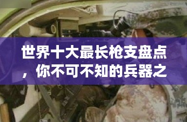 世界十大最長槍支盤點(diǎn)，你不可不知的兵器之王排名！