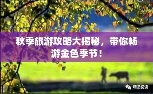 秋季旅游攻略大揭秘，帶你暢游金色季節(jié)！