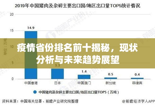 疫情省份排名前十揭秘，現(xiàn)狀分析與未來趨勢(shì)展望