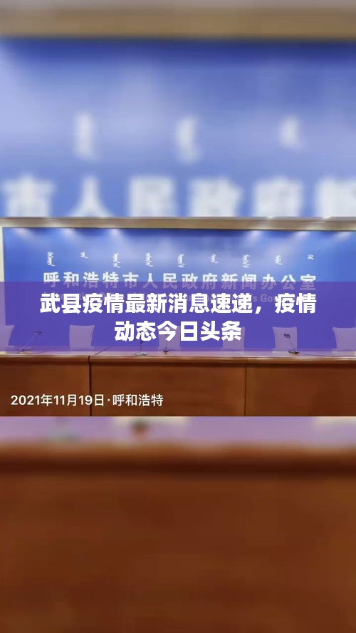 武縣疫情最新消息速遞，疫情動(dòng)態(tài)今日頭條