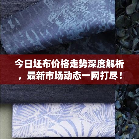 今日坯布價(jià)格走勢(shì)深度解析，最新市場(chǎng)動(dòng)態(tài)一網(wǎng)打盡！