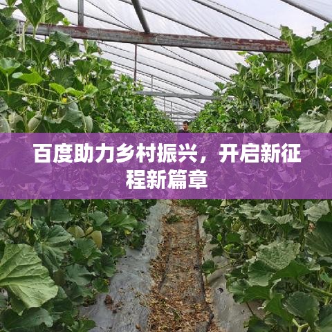 百度助力鄉(xiāng)村振興，開啟新征程新篇章