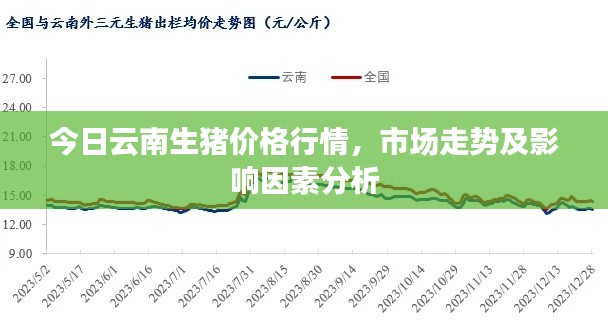 今日云南生豬價格行情，市場走勢及影響因素分析