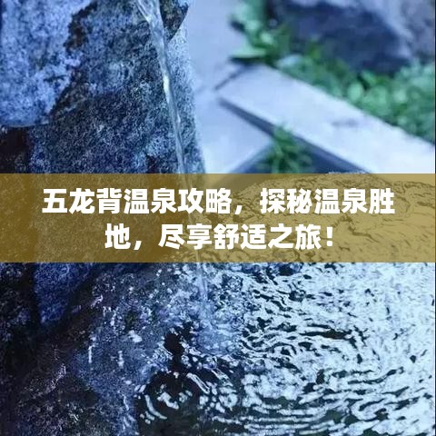 五龍背溫泉攻略，探秘溫泉?jiǎng)俚?，盡享舒適之旅！
