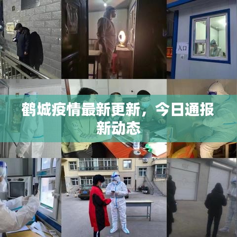鶴城疫情最新更新，今日通報(bào)新動(dòng)態(tài)