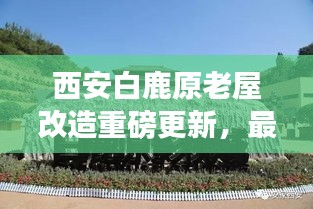 西安白鹿原老屋改造重磅更新，最新動態(tài)揭秘