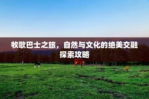牧歌巴士之旅，自然與文化的絕美交融探索攻略