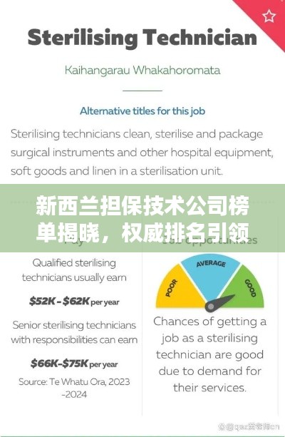 新西蘭擔保技術公司榜單揭曉，權威排名引領行業(yè)風向標