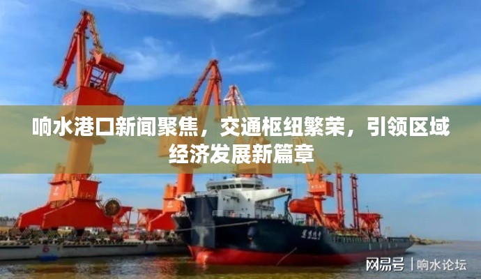 響水港口新聞聚焦，交通樞紐繁榮，引領(lǐng)區(qū)域經(jīng)濟(jì)發(fā)展新篇章