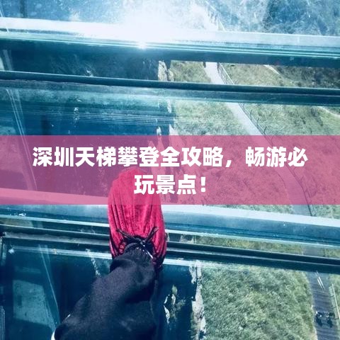 深圳天梯攀登全攻略，暢游必玩景點(diǎn)！