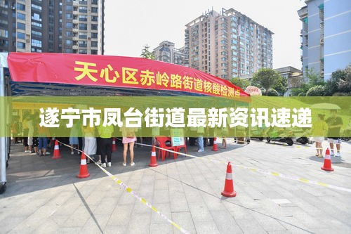 遂寧市鳳臺(tái)街道最新資訊速遞