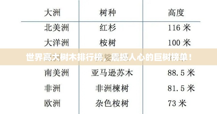 世界高大樹(shù)木排行榜，震撼人心的巨樹(shù)榜單！