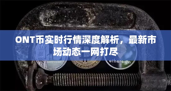 ONT幣實時行情深度解析，最新市場動態(tài)一網(wǎng)打盡