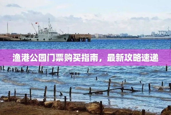 漁港公園門票購買指南，最新攻略速遞