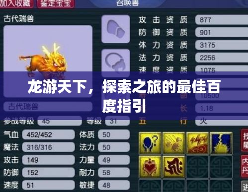 龍游天下，探索之旅的最佳百度指引