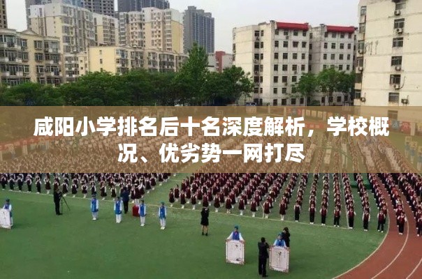 咸陽(yáng)小學(xué)排名后十名深度解析，學(xué)校概況、優(yōu)劣勢(shì)一網(wǎng)打盡