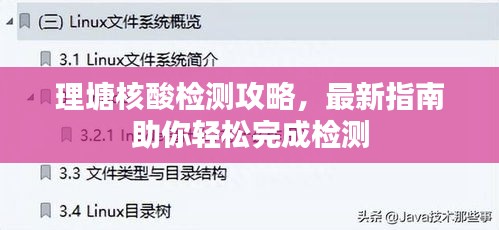 理塘核酸檢測攻略，最新指南助你輕松完成檢測