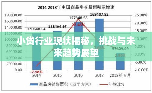 小貸行業(yè)現(xiàn)狀揭秘，挑戰(zhàn)與未來趨勢(shì)展望