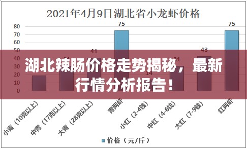 湖北辣腸價(jià)格走勢(shì)揭秘，最新行情分析報(bào)告！
