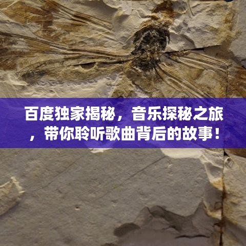 百度獨(dú)家揭秘，音樂探秘之旅，帶你聆聽歌曲背后的故事！