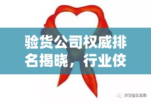 驗貨公司權(quán)威排名揭曉，行業(yè)佼佼者一覽無余