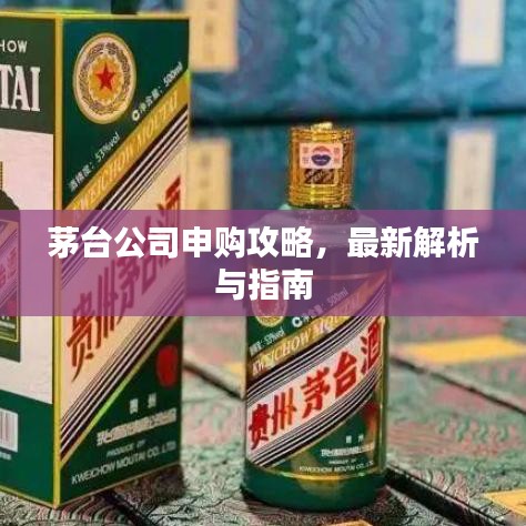 茅臺公司申購攻略，最新解析與指南