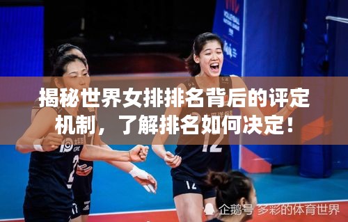 食淡衣粗 第2頁(yè)