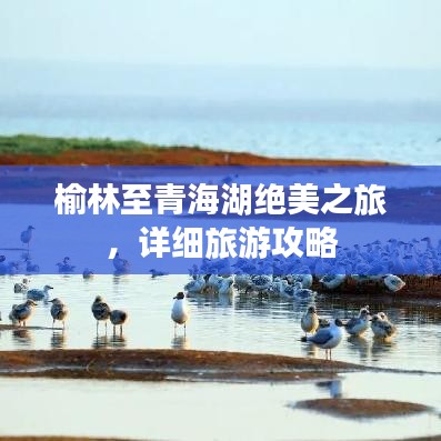 無獨(dú)有偶 第2頁