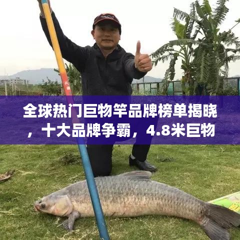 全球熱門巨物竿品牌榜單揭曉，十大品牌爭(zhēng)霸，4.8米巨物竿榮登前十名