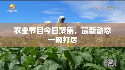 農(nóng)業(yè)節(jié)目今日聚焦，最新動態(tài)一網(wǎng)打盡