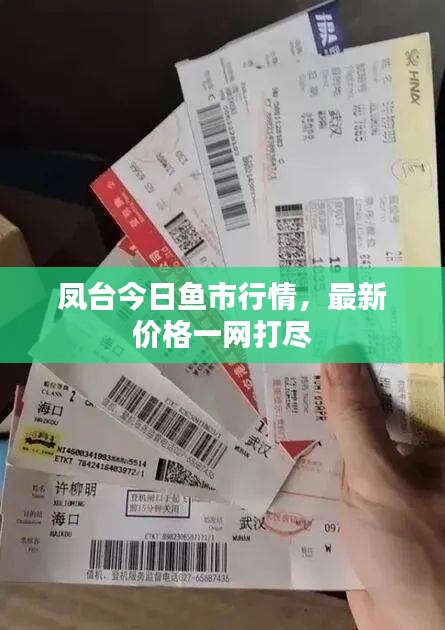 鳳臺今日魚市行情，最新價(jià)格一網(wǎng)打盡